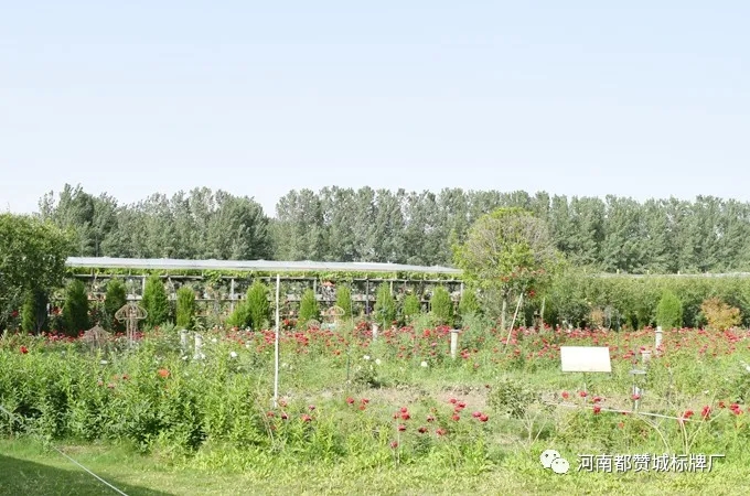 都赞城玫瑰庄园烧烤