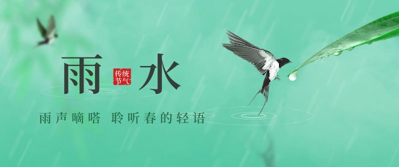 今日雨水